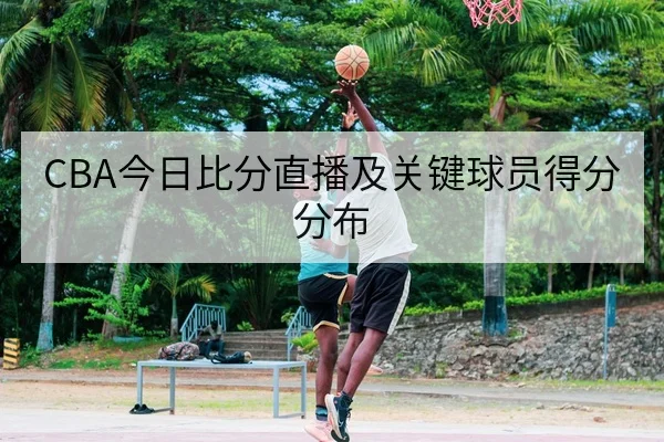 CBA今日比分直播及关键球员得分分布